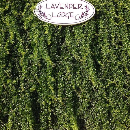 Lavender'S Lodge Hotel Kalkan Dış mekan fotoğraf