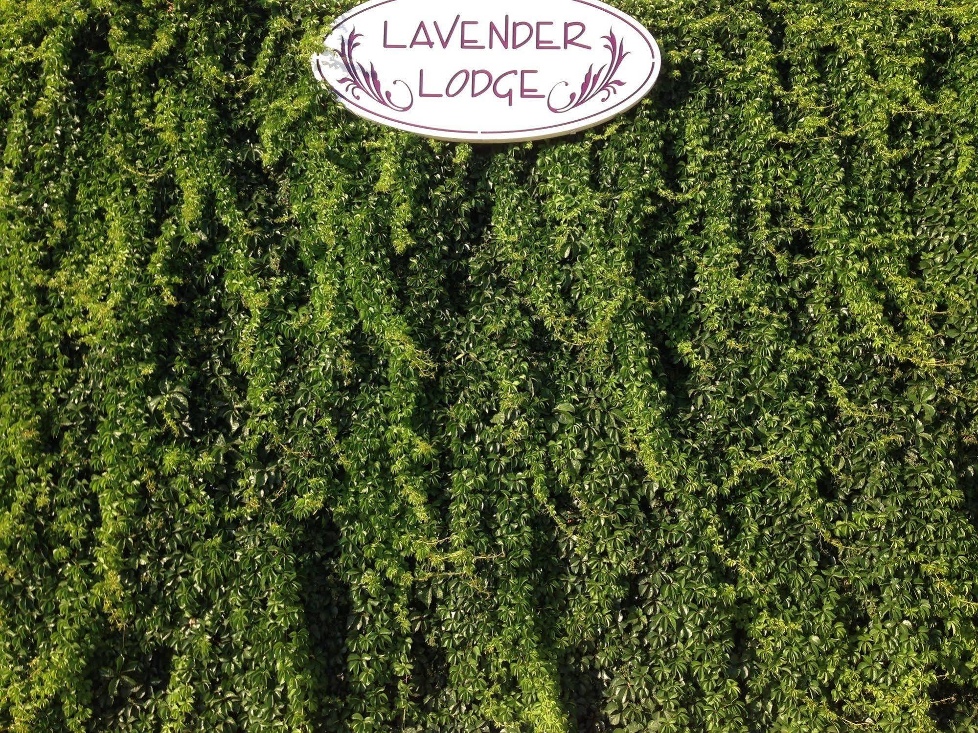 Lavender'S Lodge Hotel Kalkan Dış mekan fotoğraf